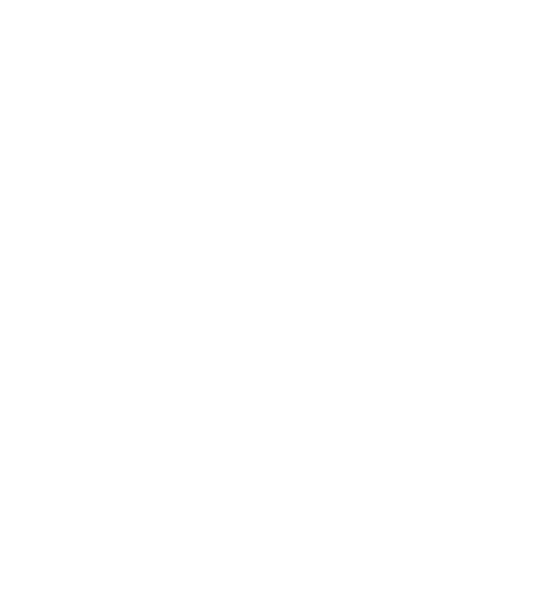 logo (12
